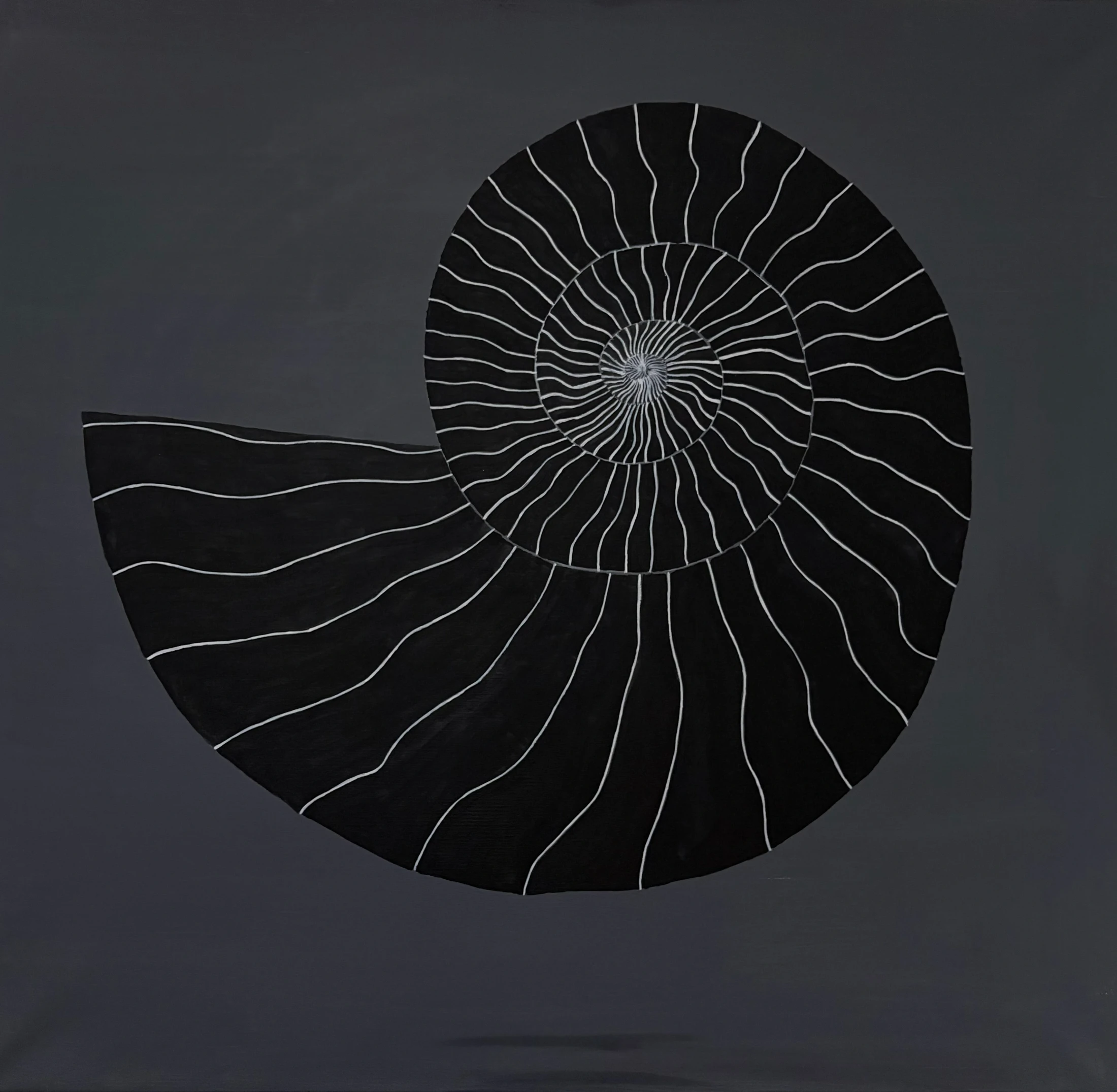 A dark spiral shell outlined with fine pale lines on a grey background.