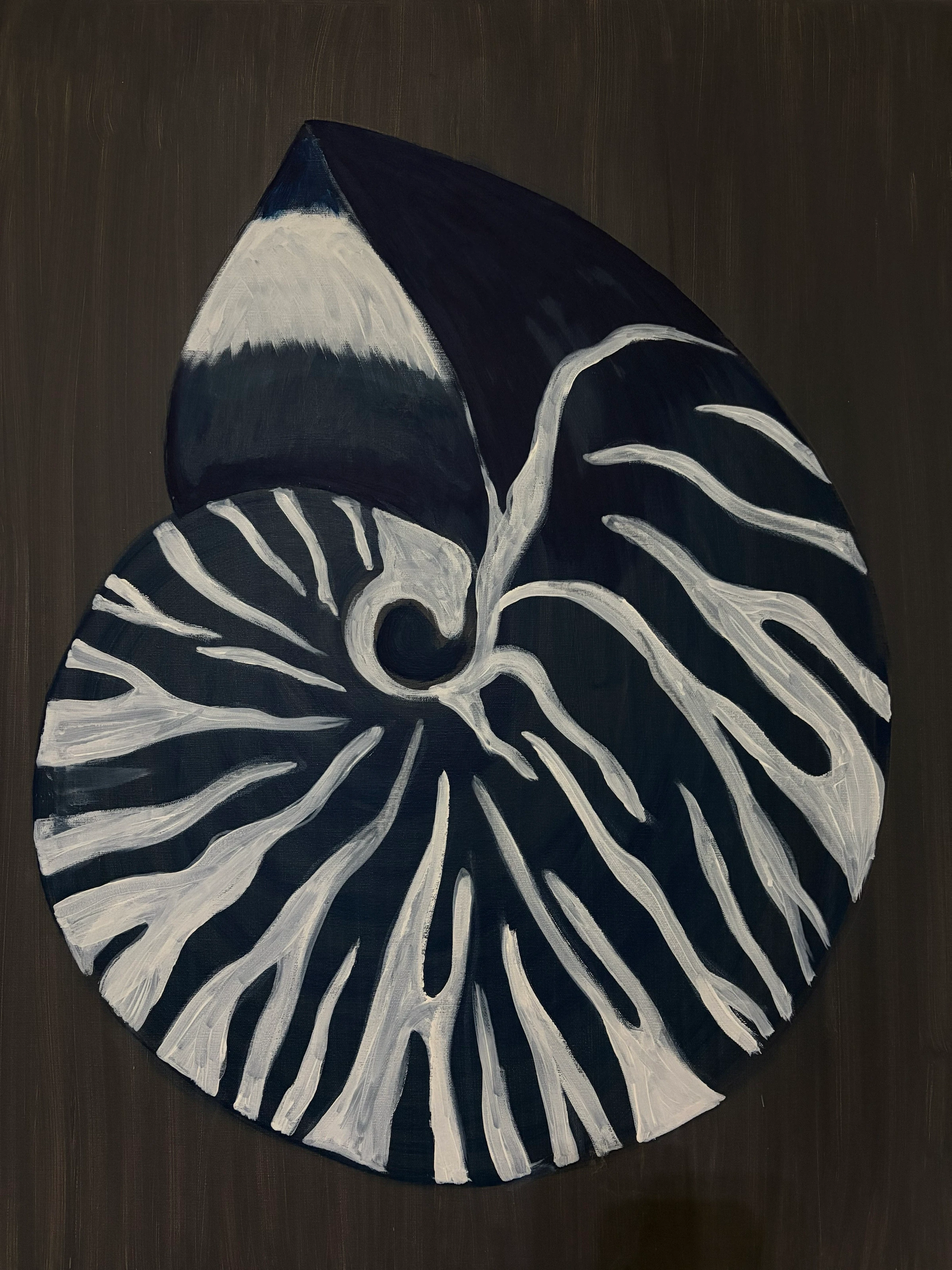 A blue and white spiral shell on a brown background.
