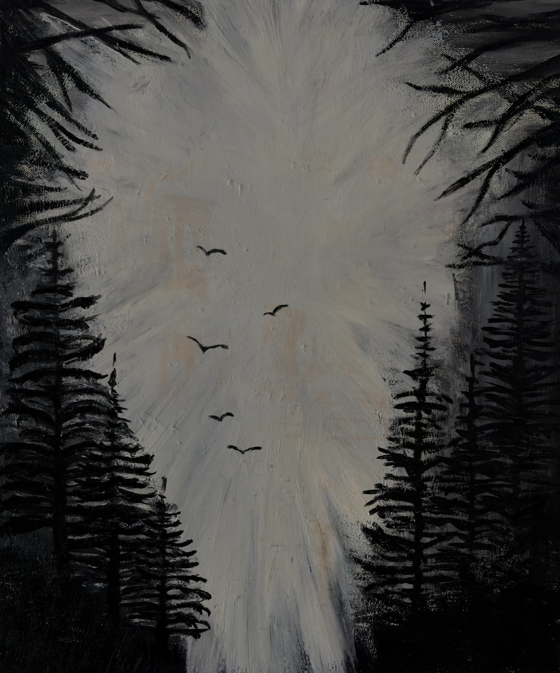 Dark conifers around a pale opening, with small birds across the sky.