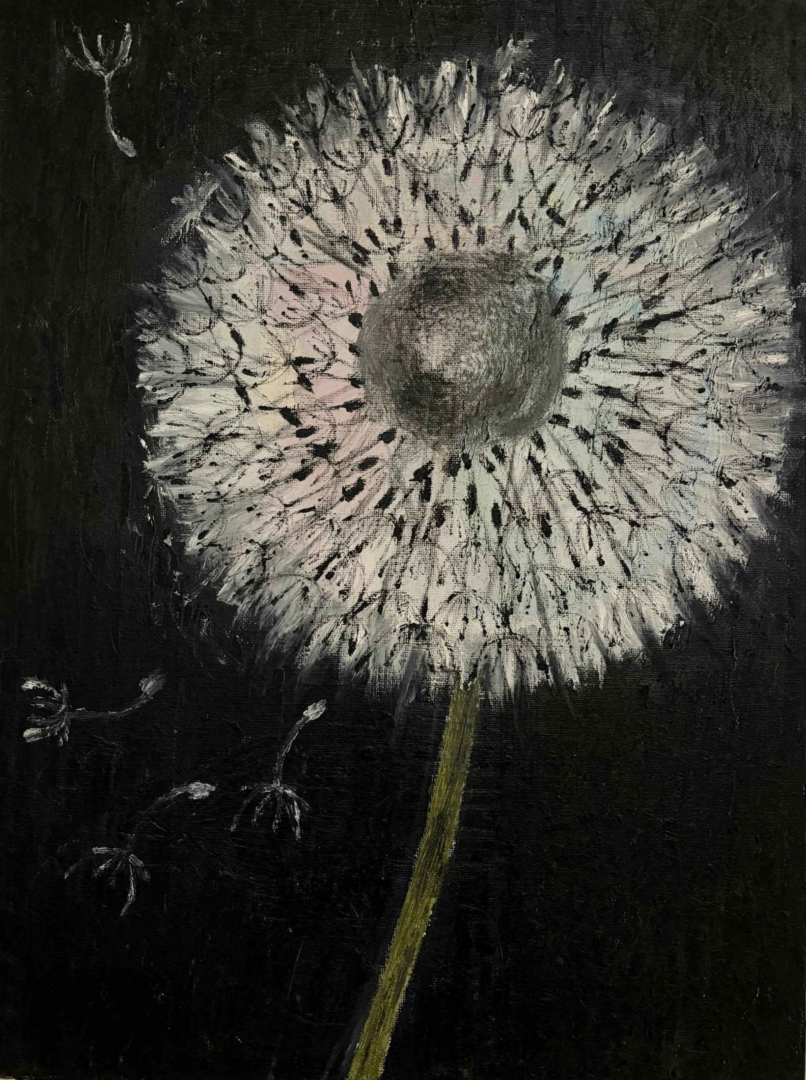 A pale dandelion seed head on a green stem, with loose seeds against a dark background.